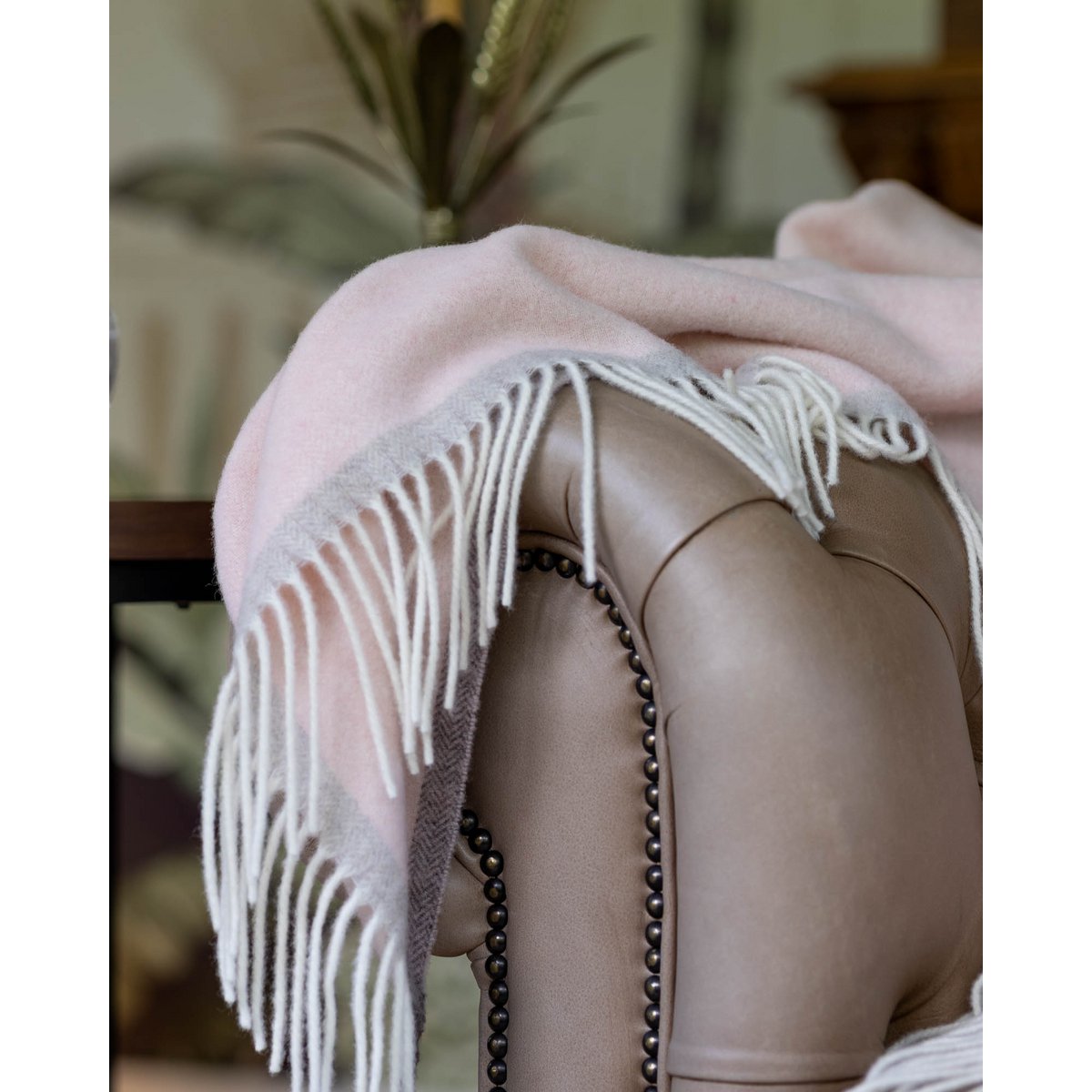 Plaid Merino/kasjmier - Milano Rosa Orlo