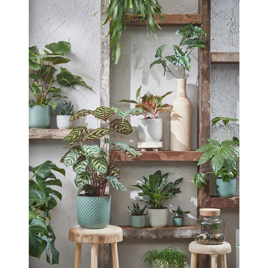 Bloempot Daan - Groen